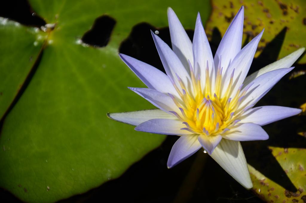 Pousada Xaxa Guarda do Embau Ngoại thất bức ảnh